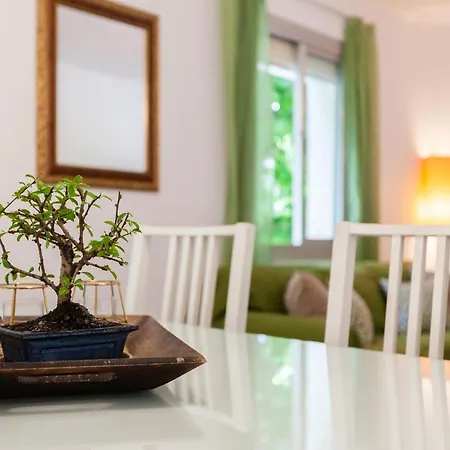 Boutique Apartment